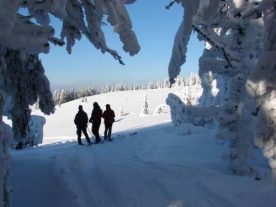 Sneeuwschoenwandeltocht door de Westelijke Beskiden van Polen