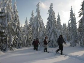 Sneeuwschoenwandeltocht door de Westelijke Beskiden van Polen