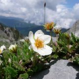 2009 Wandeltrektocht door de Alpen van Montenegro