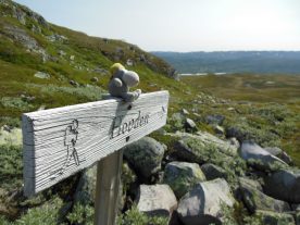 2013 Wandeltrektocht door het Noorse Setesdalen (Dennis)