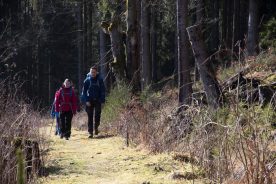 Wandeltrektocht in Ertsgebergte (Bastiaan van Kesteren)