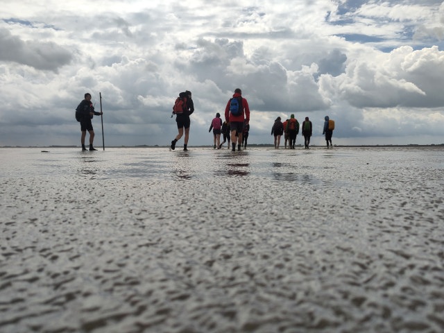 Wad?! Lopend naar Ameland